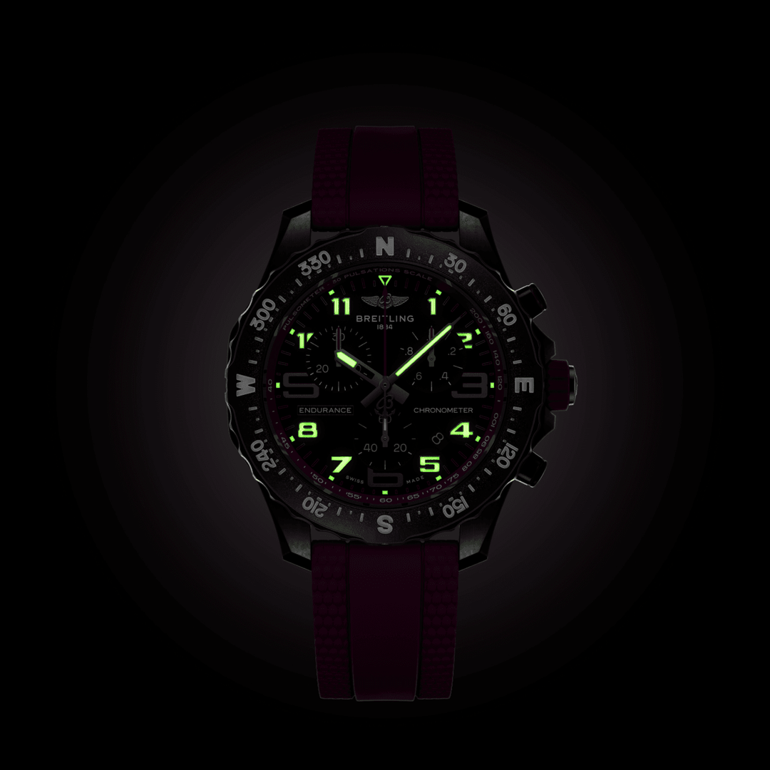 ENDURANCE PRO