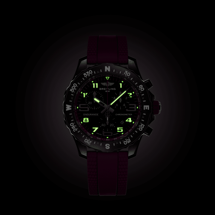 ENDURANCE PRO
