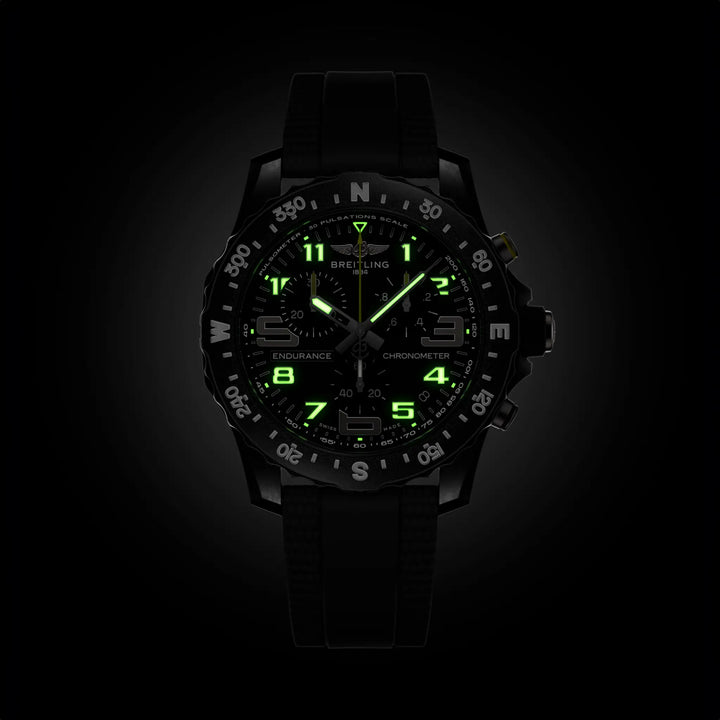 ENDURANCE PRO